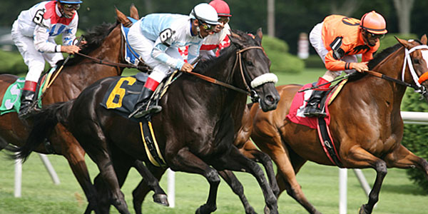 Horse Racing Tickets