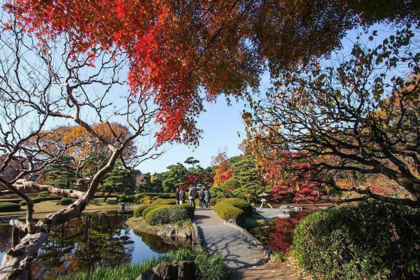 Imperial Palace Garden, Tokyo, Chiyoda City, Japan / Imperial Palace Garden, Tokyo, Chiyoda City, Japan Venue Seating Plan